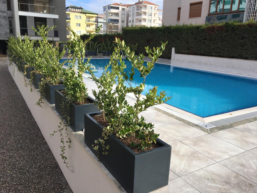 CTP Saksı