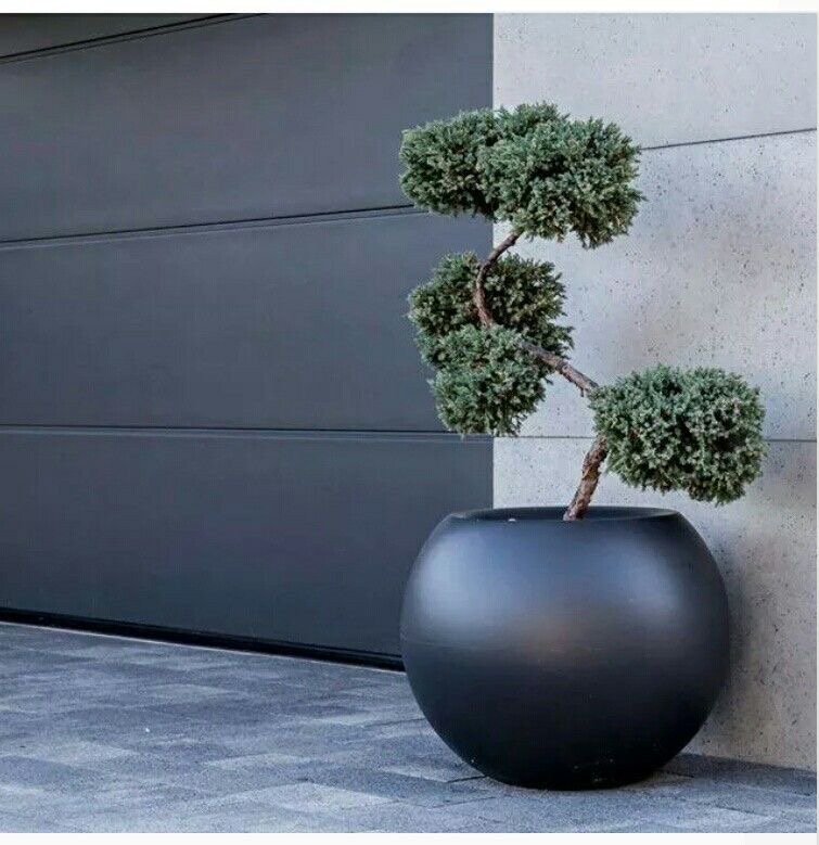Küre Saksı 3
